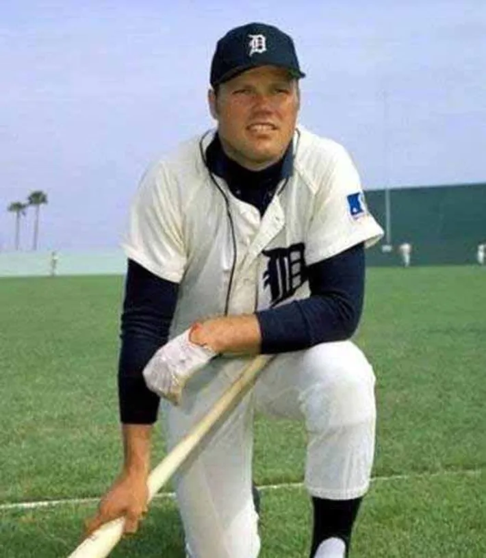 BILL FREEHAN Detroit Tigers 1969 Home Majestic Throwback Baseball Jersey 