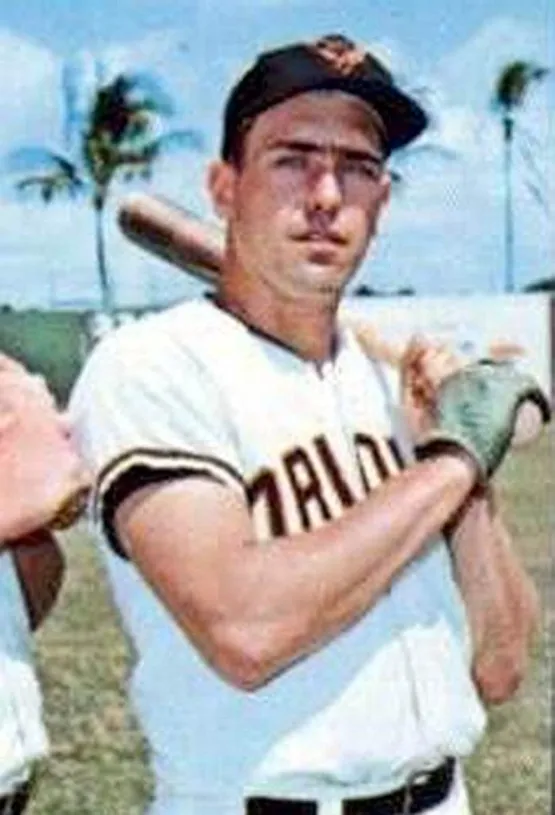 CURT BLEFARY Baltimore Orioles 1965 Majestic Cooperstown Home Baseball Jersey 