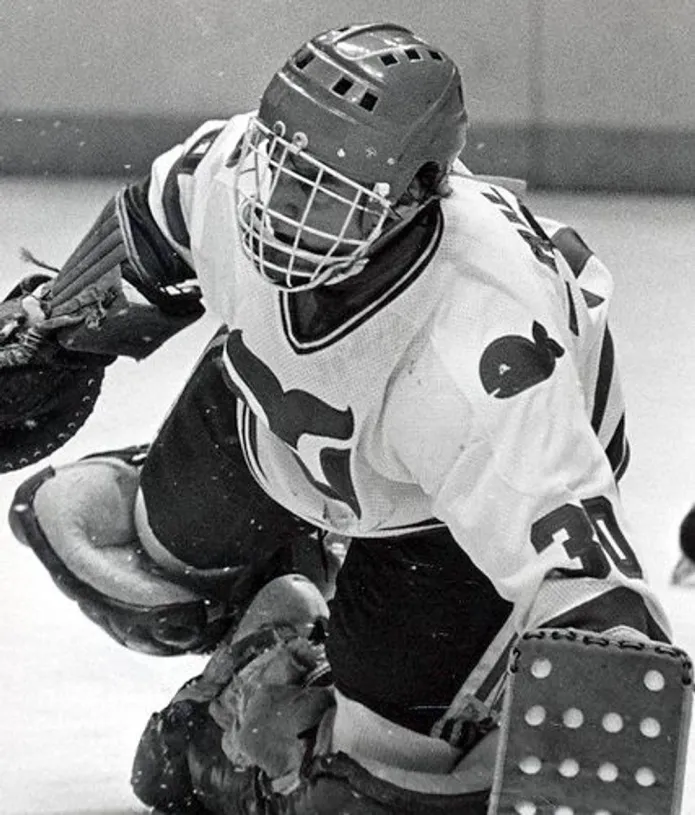 GREG MILLEN Hartford Whalers 1981 Home CCM Vintage NHL Hockey Jersey 