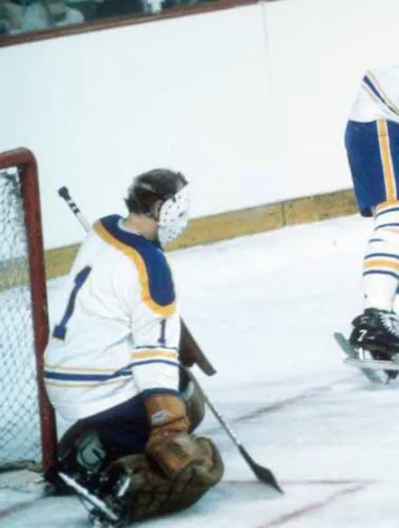 ROGER CROZIER Buffalo Sabres 1974 Home CCM Throwback NHL Hockey Jersey 