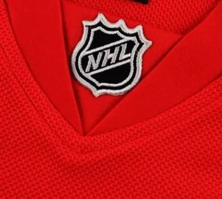 DETROIT RED WINGS Reebok 2010 NHL Jersey Customized with “Any Name & Number(s)” 
