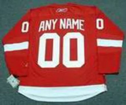 DETROIT RED WINGS Reebok 2010 NHL Jersey Customized with “Any Name & Number(s)” 