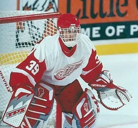 DOMINIK HASEK Detroit Red Wings 2002 Home CCM Throwback Hockey Jersey 