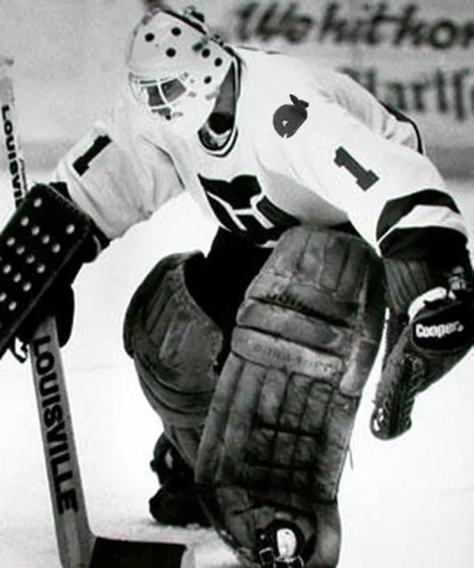 MIKE LIUT Hartford Whalers 1984 Home CCM NHL Vintage Throwback Jersey 