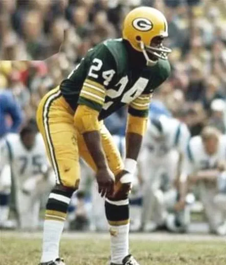 WILLIE WOOD Green Bay Packers 1969 Throwback NFL Football Jersey 